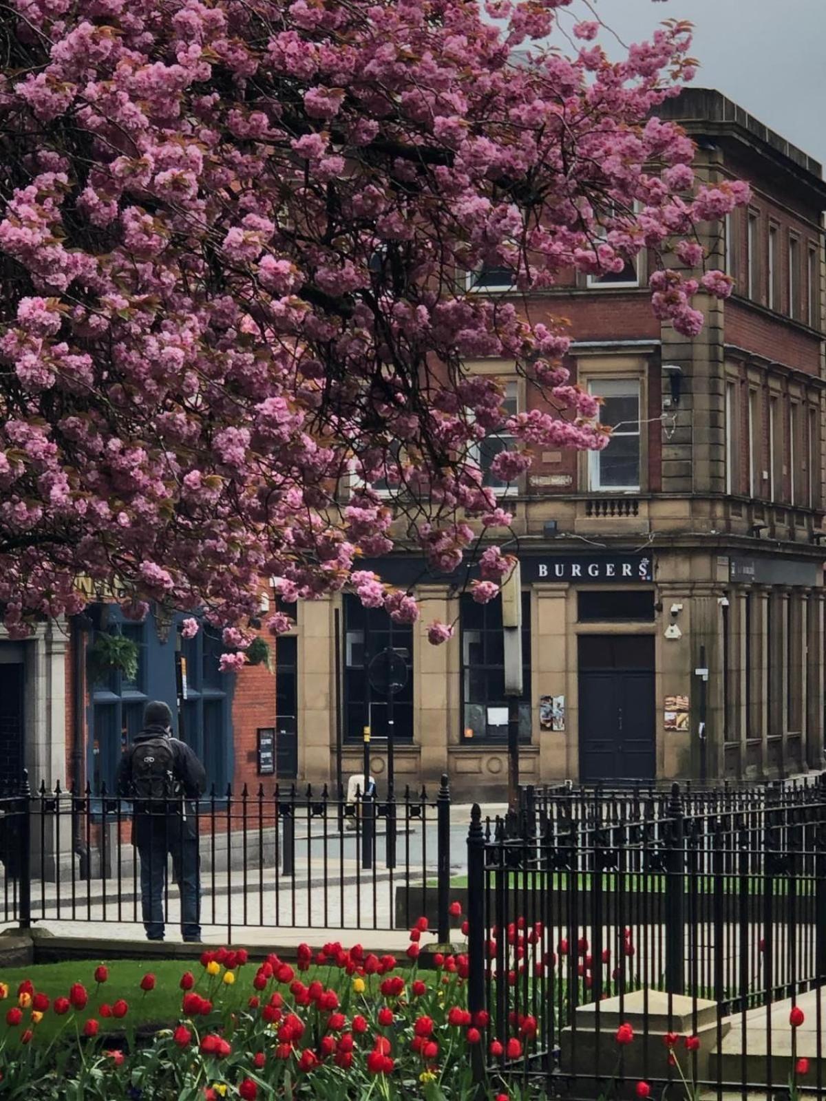 Studio In Bolton Town, Short Stay Studio 2 Екстериор снимка